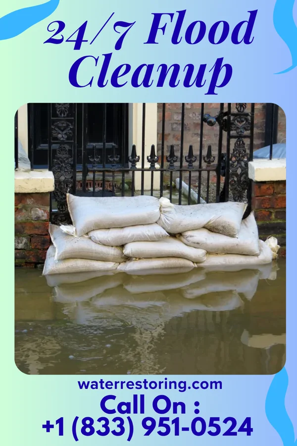 24/7 Flood Cleanup in Delbarton, WV
