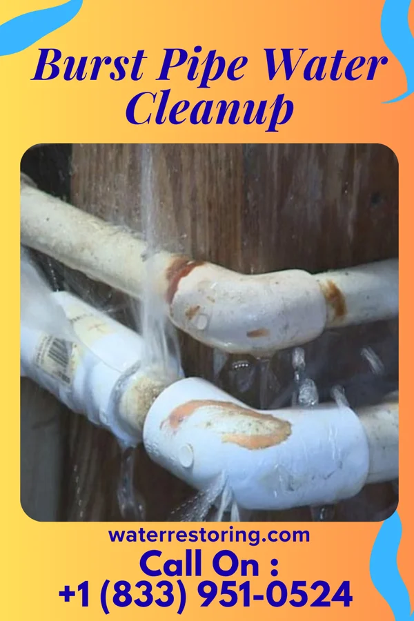 Burst Pipe Water Cleanup in Delbarton, WV