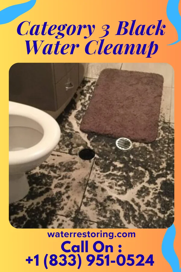 Category 3 Black Water Cleanup in Delbarton, WV