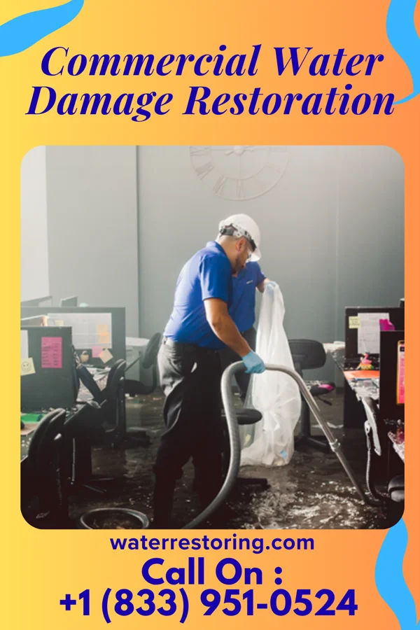 Commercial Water Damage Restoration in Delbarton, WV