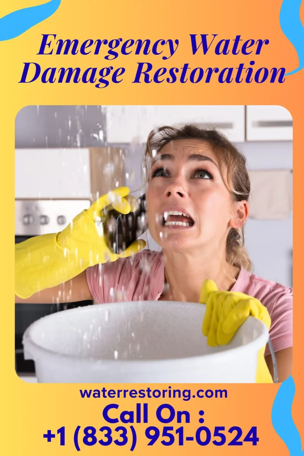 Emergency Water Damage Restoration in Delbarton, WV
