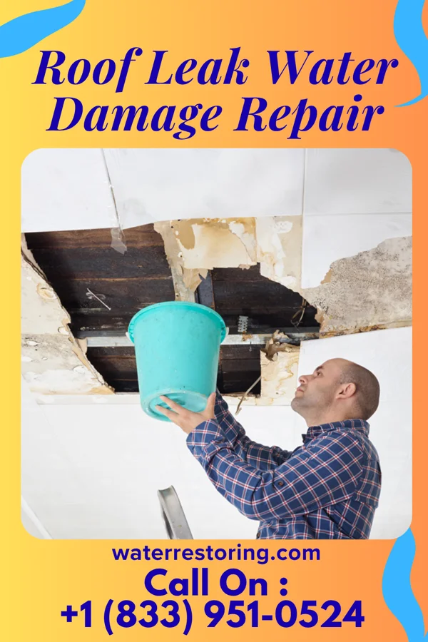 Roof Leak Water Damage Repair in Delbarton, WV