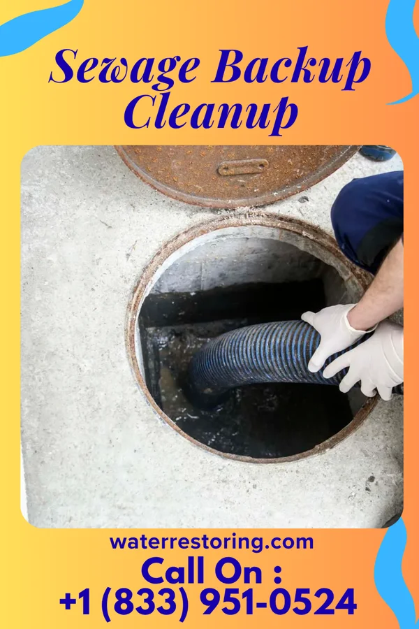 Sewage Backup Cleanup in Delbarton, WV