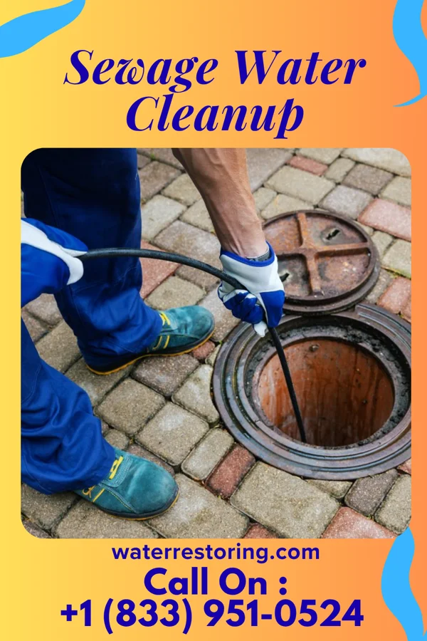 Sewage Water Cleanup in Delbarton, WV