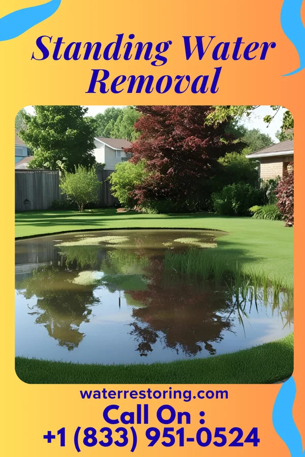 Standing Water Removal in Delbarton, WV